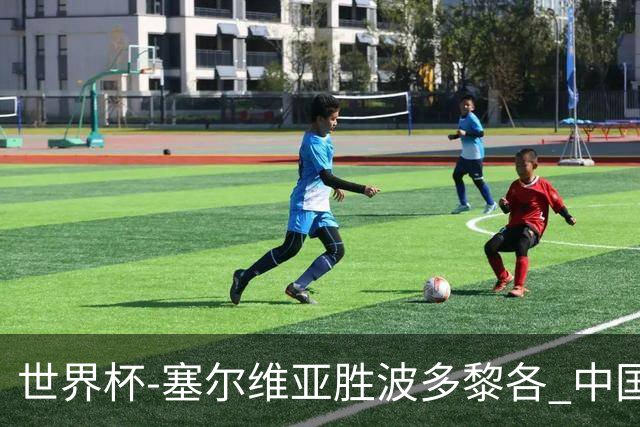世界杯-塞尔维亚胜波多黎各 中国仍存出线可能