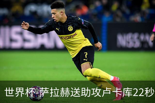 世界杯-萨拉赫送助攻卢卡库22秒造乌龙 比利时1-1埃及